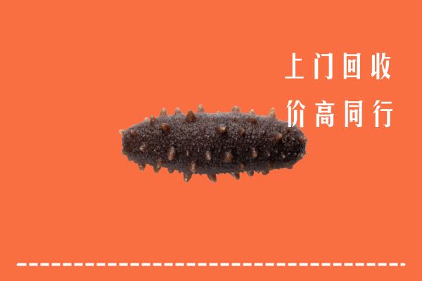 高价求购：巴彦卓尔杭锦后回收海参