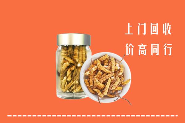 巴彦卓尔杭锦后回收冬虫夏草